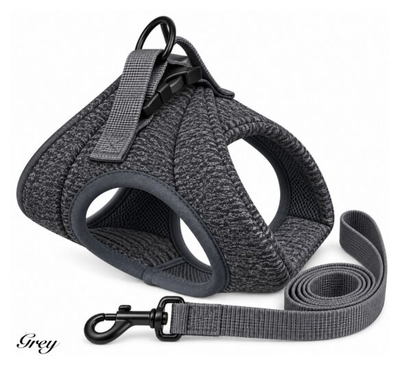 Padded Dog Harness and Matching Lead Set