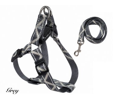 Adjustable Dog Harness and Matching Lead (Copy)