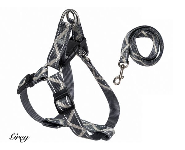Adjustable Dog Harness and Matching Lead (Copy)