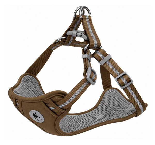 Padded Dog Harness and Matching Lead Set