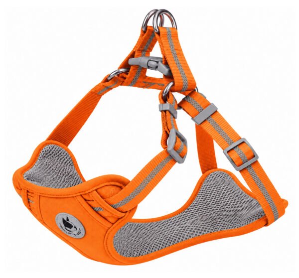 Interactive Suction Cup Dog Toy (Copy)