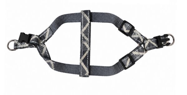 Adjustable Dog Harness and Matching Lead (Copy)